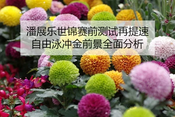 潘展乐世锦赛前测试再提速 自由泳冲金前景全面分析